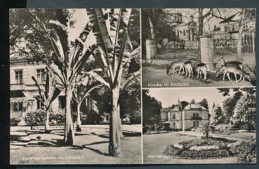 Stadtpark Lahr/Schwarzwald 77933