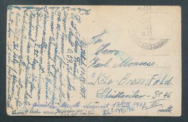 Preview: Bild  einer Person mit Katze