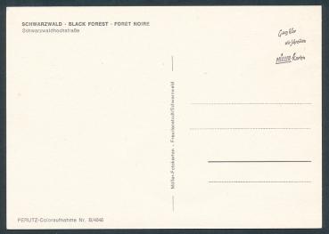 Preview: Schwarzwaldhochstrasse