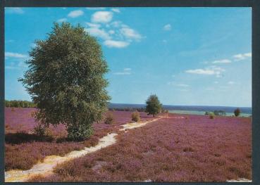 Naturpark Lüneburger Heide 29392