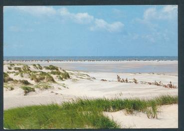 Der Kniepsand auf der Insel Amrum 25946