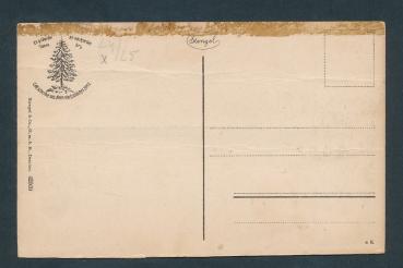 Preview: Wernigerode am Harz, Blick von der Sennhütte