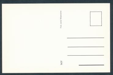 Preview: HELOG, Super Puma