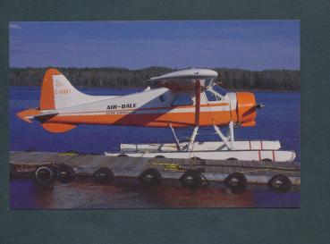 AIR DALE, De Havilland