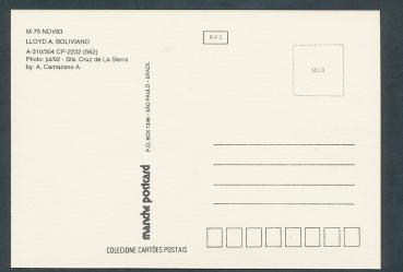 LAB  LLOYD AÈREO BOLIVIANO, A-310/304