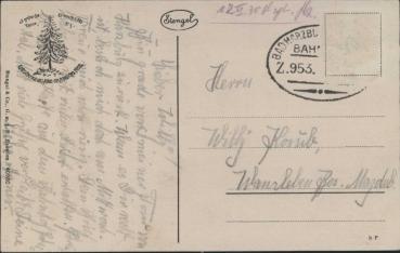 Preview: Bad Harzburg 38667,  Kuranstalt Jungborn i. Eckertal(1930)