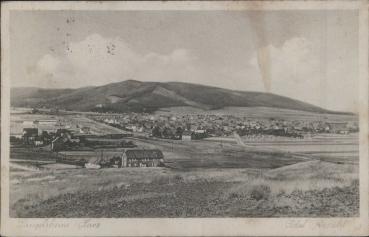 38685 Langelsheim,  Total Ansicht