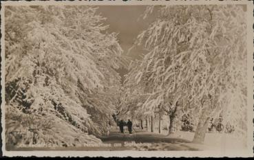 Schmiedefeld 98711 Am Stutenhaus