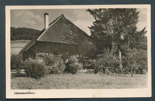 Schwarzwaldhaus in Todtmoos 79682