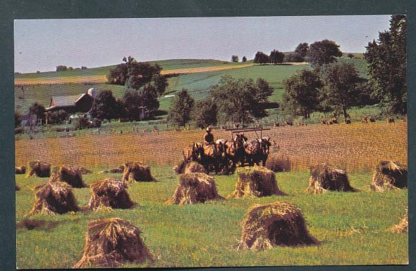 Holmes County Ohio USA