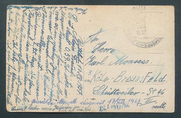 Bild  einer Person mit Katze