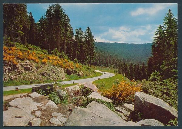 Schwarzwaldhochstrasse