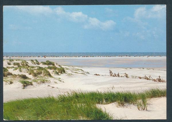 Der Kniepsand auf der Insel Amrum 25946