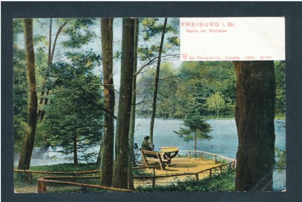 Freiburg im Breisgau, Partie am Waldsee