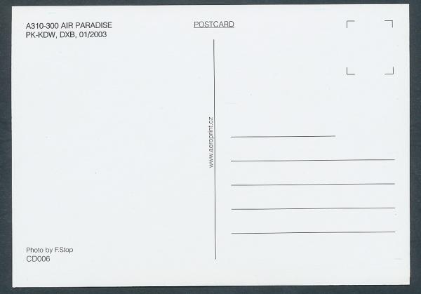 AIR PAEADISE, A310-300