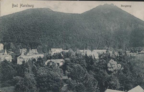 Bad Harzburg 38667,  Burgberg