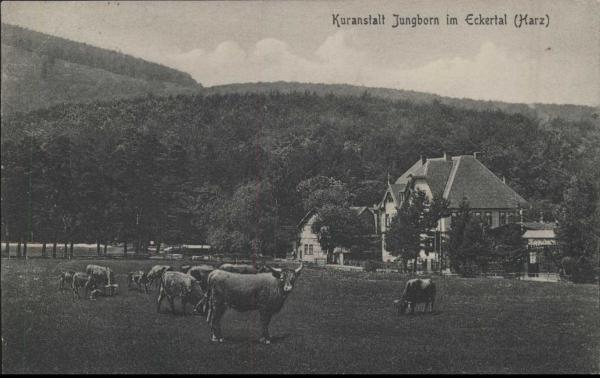 Bad Harzburg 38667,  Kuranstalt Jungborn i. Eckertal(1930)