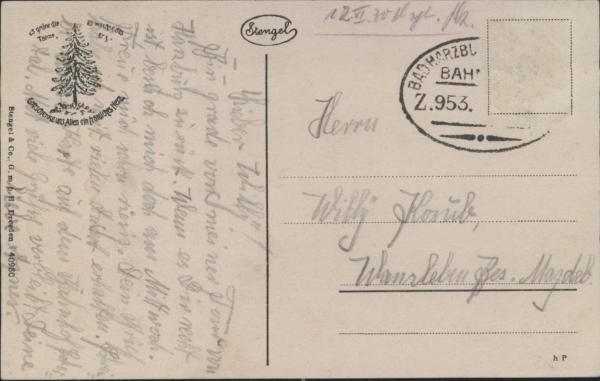 Bad Harzburg 38667,  Kuranstalt Jungborn i. Eckertal(1930)