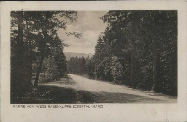 Bad Harzburg 38667, Weg z. Rabenklippe Eckertal (1930)