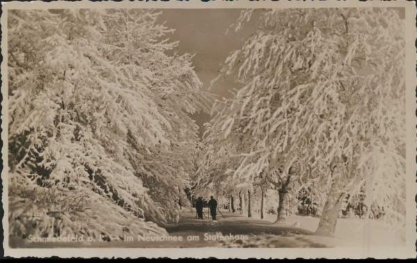 Schmiedefeld 98711 Am Stutenhaus